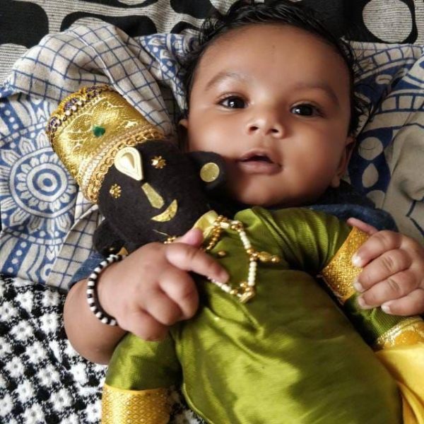 Panduranga Soft Toy - Image 2