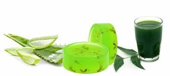 Neem soap